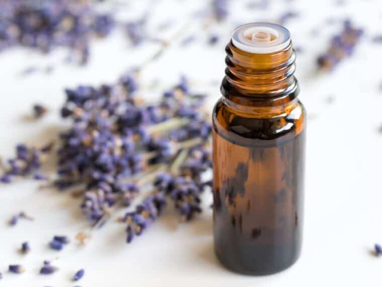 lavender essential oil